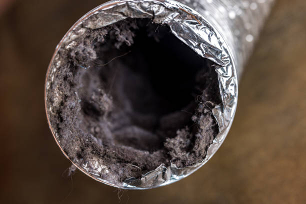 Best Commercial Air Duct Cleaning  in Rockwood, MI