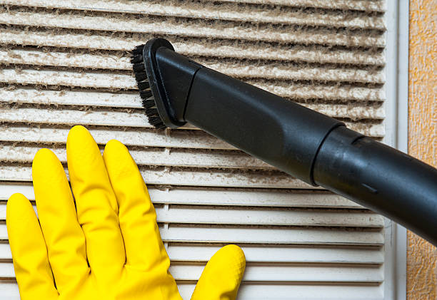 Best Professional Duct Cleaning Services  in Rockwood, MI